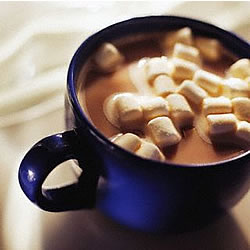 hot cocoa hot cocoa